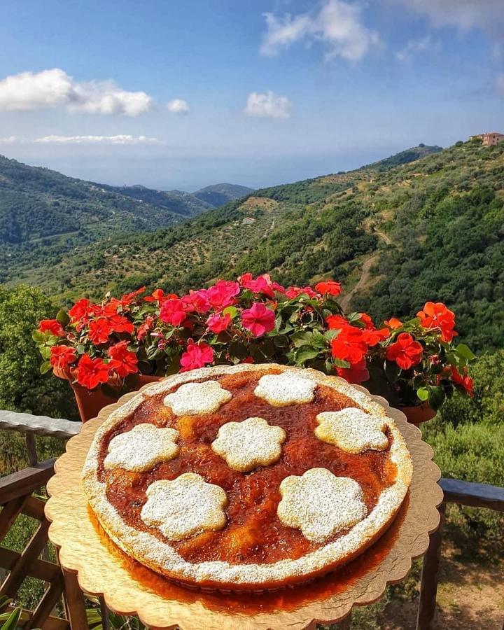 Villa Bernadette San Mauro Cilento Buitenkant foto